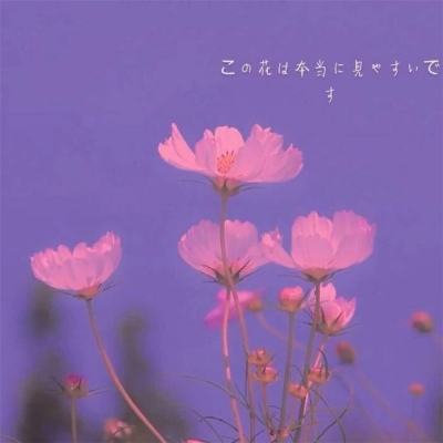 3.21电工节丨驭电无限，感谢每一...